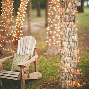 luces navideñas al aire libre envueltas alrededor de los árboles