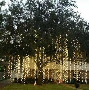 Árbol Drapeado Luz Navidad