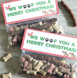 Dog Treat Christmas Gift