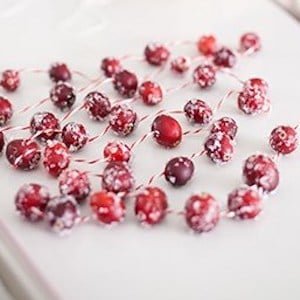 Sugared Cranberry Garland