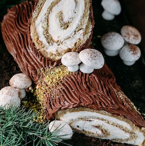 Tiramisu Yule Log