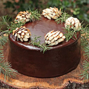 Chocolate Pinecone Cake