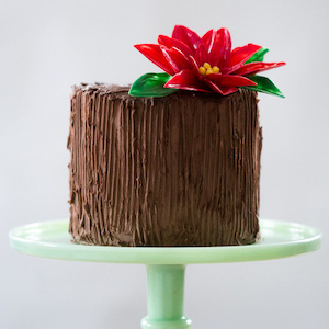 Chocolate Poinsettia Christmas Cake