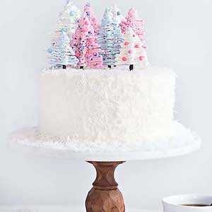 Chocolate Coconut Winter Wonderland White Cake