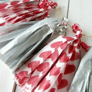 Tissue Paper Tassel Garland 