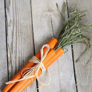 Wood Carrots easter craft for adults