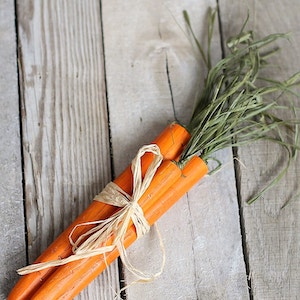 Wood Carrot Easter Craft for Adults