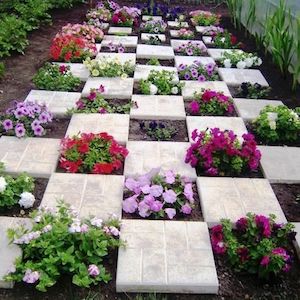 Checkered Flower and Pavers