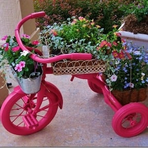 Tricycle Planter