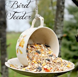 teacup bird feeder