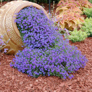 Overflowing Flower Planter