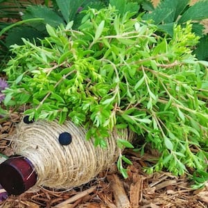 Hedgehog Bottle Planter garden art