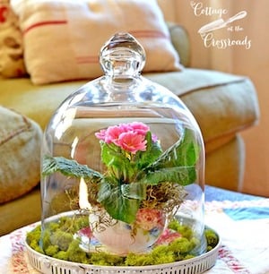 Spring cloche with flowers and moss