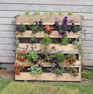 Pallet Garden