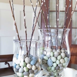 Spring Pussy Willows in a vase with small eggs