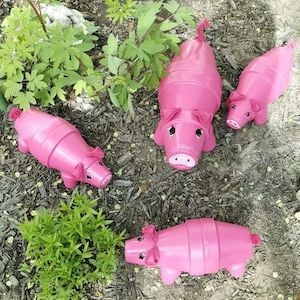 Cute Pig Terra Cotta Pots