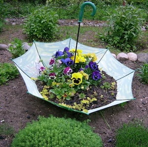 Umbrella Flower Planter