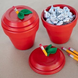 Dollar Tree DIY Apple Pot