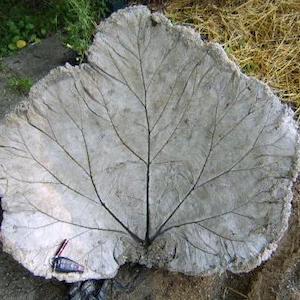 Easy Concrete Leaf Bird Bath