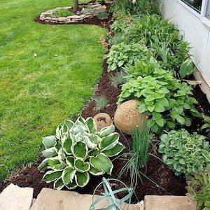  Side of House Landscaping
