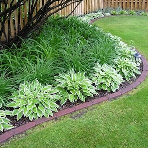 Backyard Landscaping idea along fence