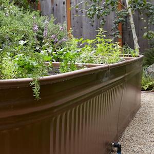 Water Trough Planters