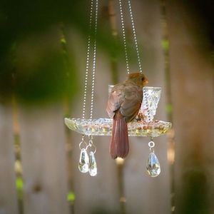 Teacup Bird Feeder