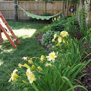 Backyard landscaping idea along fence