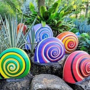 Snail Rocks