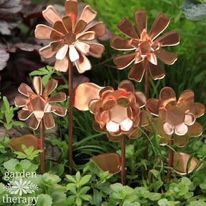 copper flowers