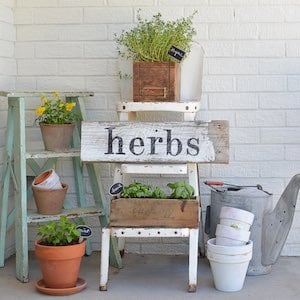 DIY Herb Garden in Vintage Boxes