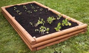 Landscaping Timber Garden Bed 