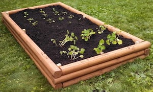 Cama de jardín de madera para paisajismo 