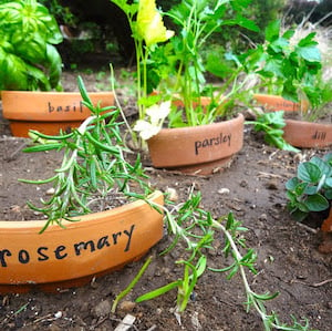 Broken Terra Cotta Pot Markers that are labeled