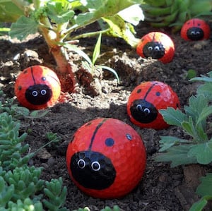 Ladybug painted Golfballs