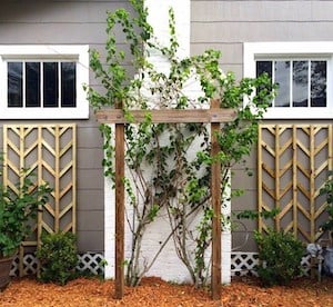 DIY Chevron Lattice Trellis