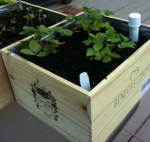 Jardinera de cajas de vino