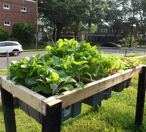 Jardinería con autorriego