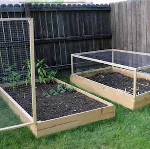 Raised Garden Bed Cover