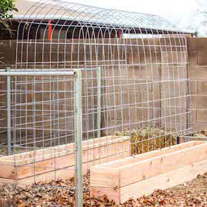 Raised Garden Bed and Trellis Combo 