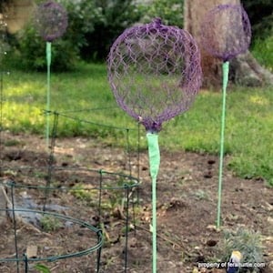 Giant Allium Chicken Wire Flowers