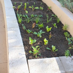 Cama de jardín elevada de hormigón de bricolaje