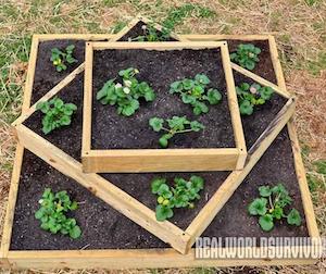 Caja de jardín elevada de tres niveles