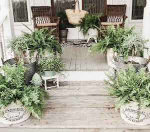 front porch Steps with Potted Greenery