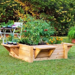 Raised Beds with Benches