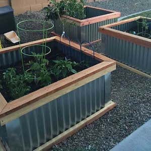 Corrugated Metal Garden Beds