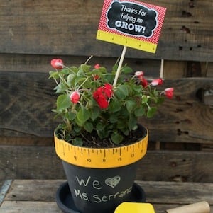 Teacher Flower Pot Gift 