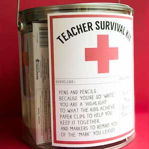 28 Teacher Appreciation Gifts That Are Insanely Adorable 49