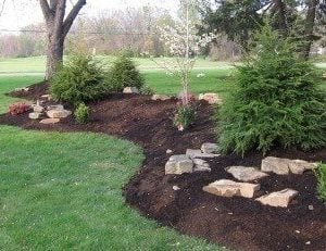 berm landscaping idea