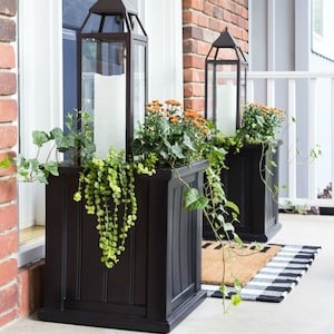  Lantern Planters with Mums